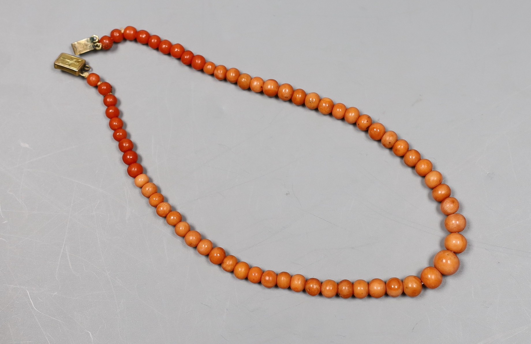 A single strand graduated coral bead child's necklace, with yellow metal clasp, 28cm.